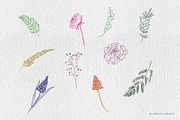 Wildflowers Procreate Stamps, a Brush Add-On by BohoCalligraphy (Thumbnail 4 of 9)