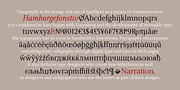 Narration, a Serif Font by PESIC (Thumbnail 3 of 8)
