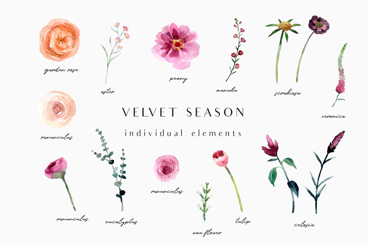 Velvet season - graphic set, an Illustration by Youksy (Photo 3 of 10)