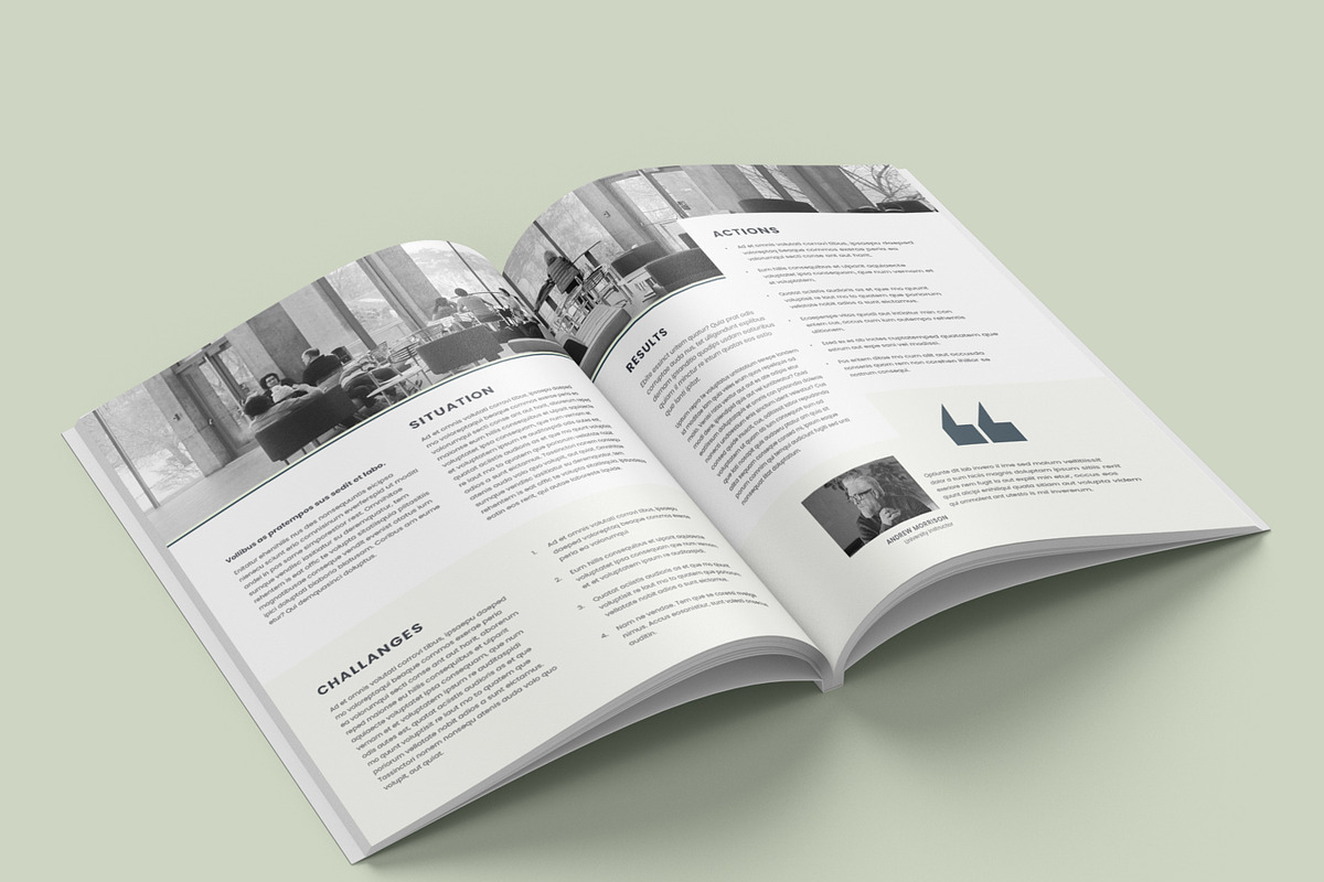 Case Study Template, Data Sheet preview 8