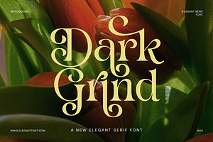 Dark Grind Elegant Swash Serif Font