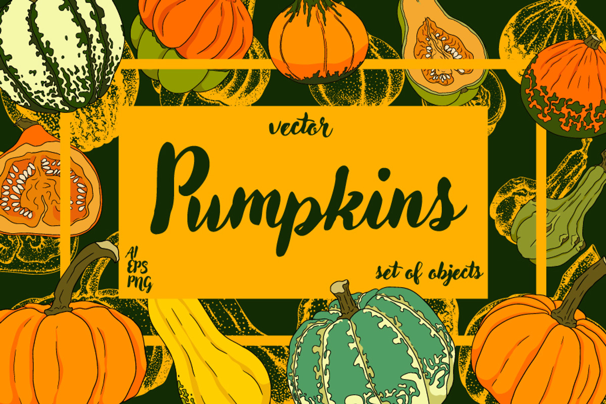 Pumpkins collection, an Object Illustration by Elena Mykhailenko (Photo 1 of 4)