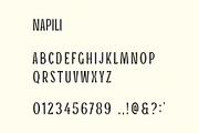 Napili | A Tropical Display Font, a Sans Serif Font by Taylor Penton (Thumbnail 3 of 5)