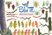 Watercolor blue tit bird clipart, an Illustration by Art & Things (Thumbnail 6 of 8)