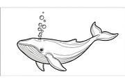 Whale Line Art Vector Bundle, an Illustration by yasushie (Thumbnail 15 of 51)