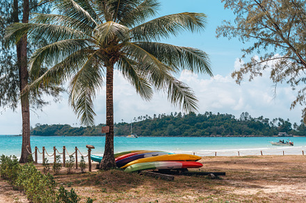 Tropical beach,Coconut trees and blue sea on a summer day, a Nature Photo by Art Rachen