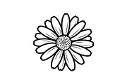 Daisy Flower Line Art Vector Bundle0, an Illustration by jahid234 (Thumbnail 31 of 51)