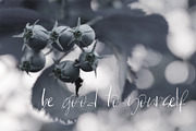 Mohen Font, a Script Font by SophieSaxo (Thumbnail 2 of 10)