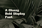 POP CULTURE – Classic Display Font, a Serif Font by Pinisi ART (Thumbnail 10 of 10)