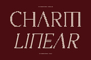 CS Yaeger Disco, a Serif Font by Craft Supply Co. (Thumbnail 3 of 8)
