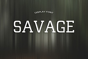 SAVAGE font, a Font by DmDesignsStoreArt (Thumbnail 1 of 2)