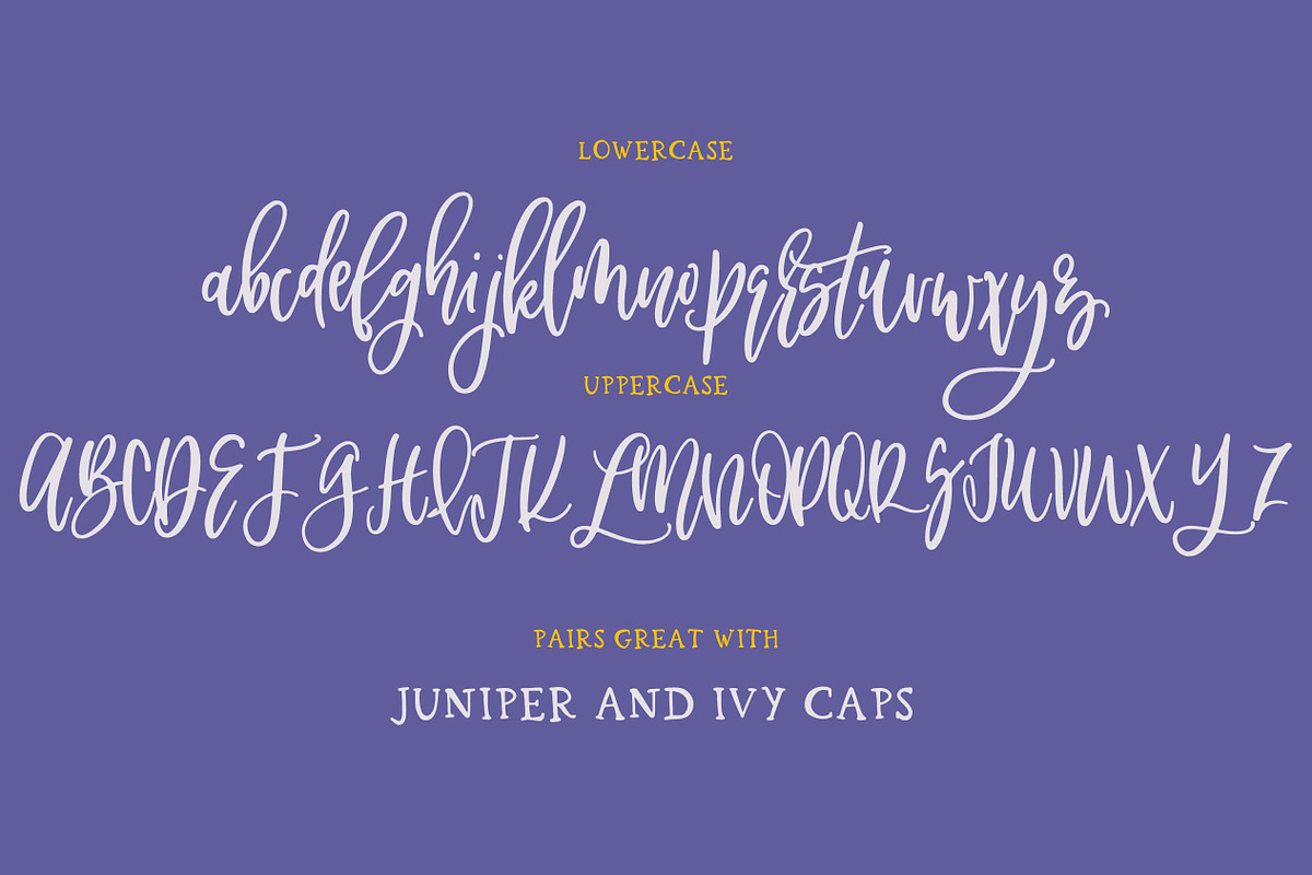 Jessamine, a Script Font by OnTheSpotStudio (Photo 3 of 3)