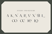Workofart - Elegant Serif Font, a Serif Font by RockboyStd (Thumbnail 10 of 12)