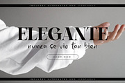 Bagife Modern Serif Font, a Serif Font by Storytype Studio (Thumbnail 5 of 15)