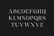 Octagons Point Groove Serif Font, a Serif Font by UICreative (Thumbnail 7 of 13)