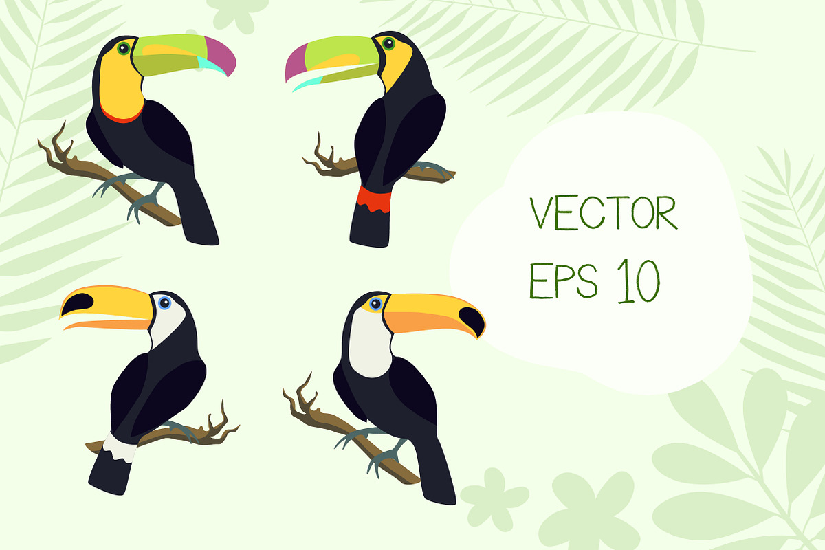 Toucan Birds + Bonus Patterns, an Animal Illustration by Imaginasty (Photo 3 of 5)