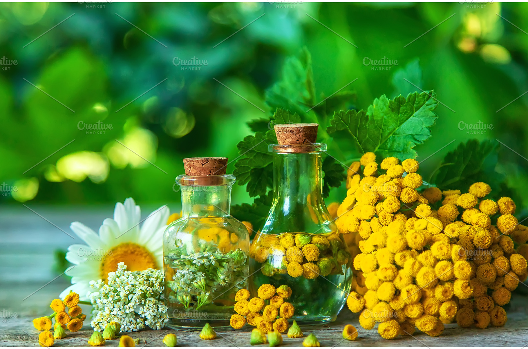 Tincture of herbs in a bottle, a Nature Photo by yanadjana