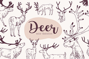Deer sketch set, an Animal Illustration by Good Studio