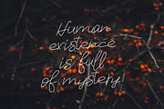 Old Maple, a Script Font by chekart (Thumbnail 3 of 5)