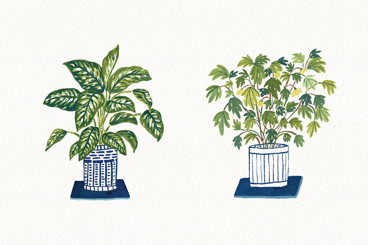 Watercolor Green Plants Clipart Set, an Illustration by Anna Ivanir (Photo 4 of 5)