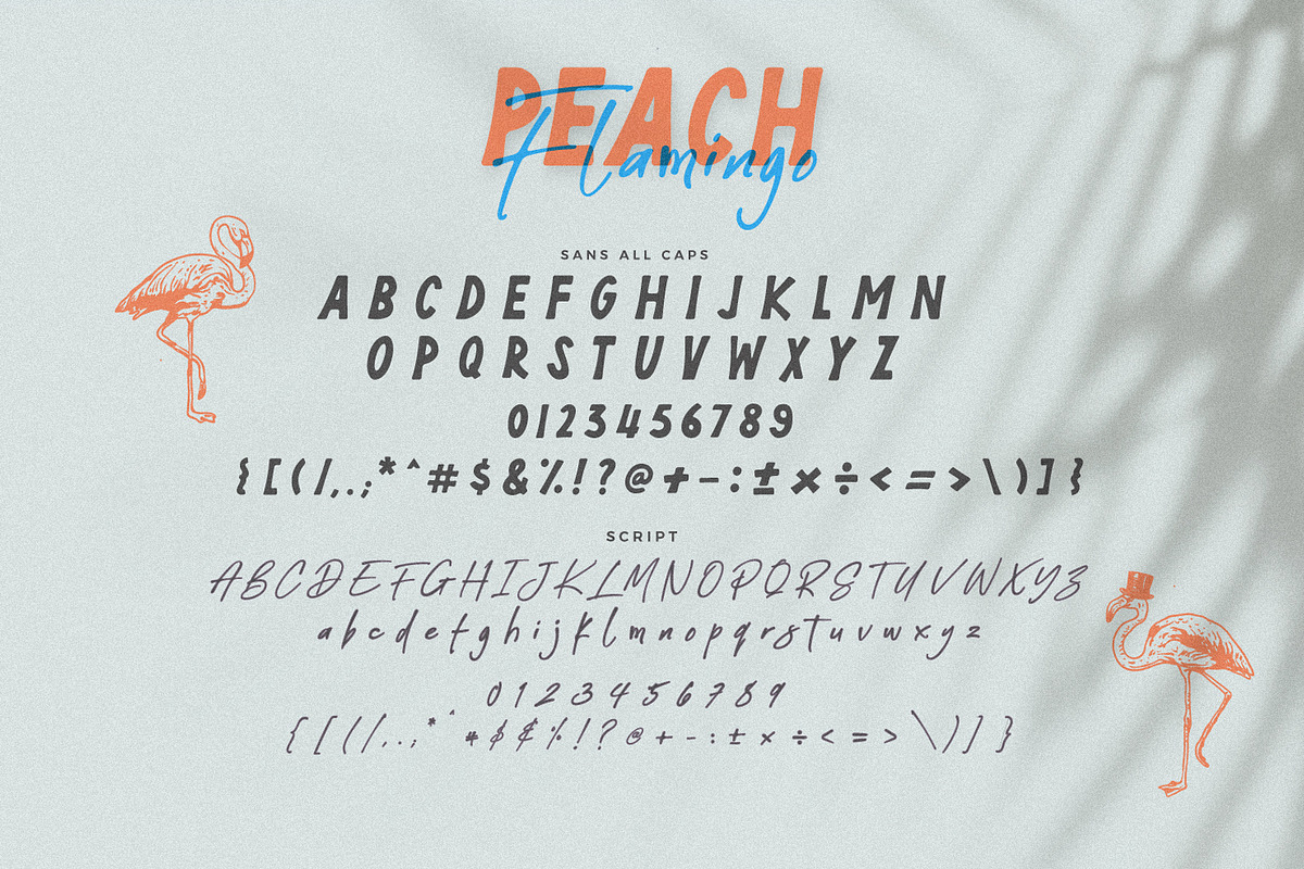 Peach Flamingo Font Duo, a Font by BodigStd (Photo 7 of 8)