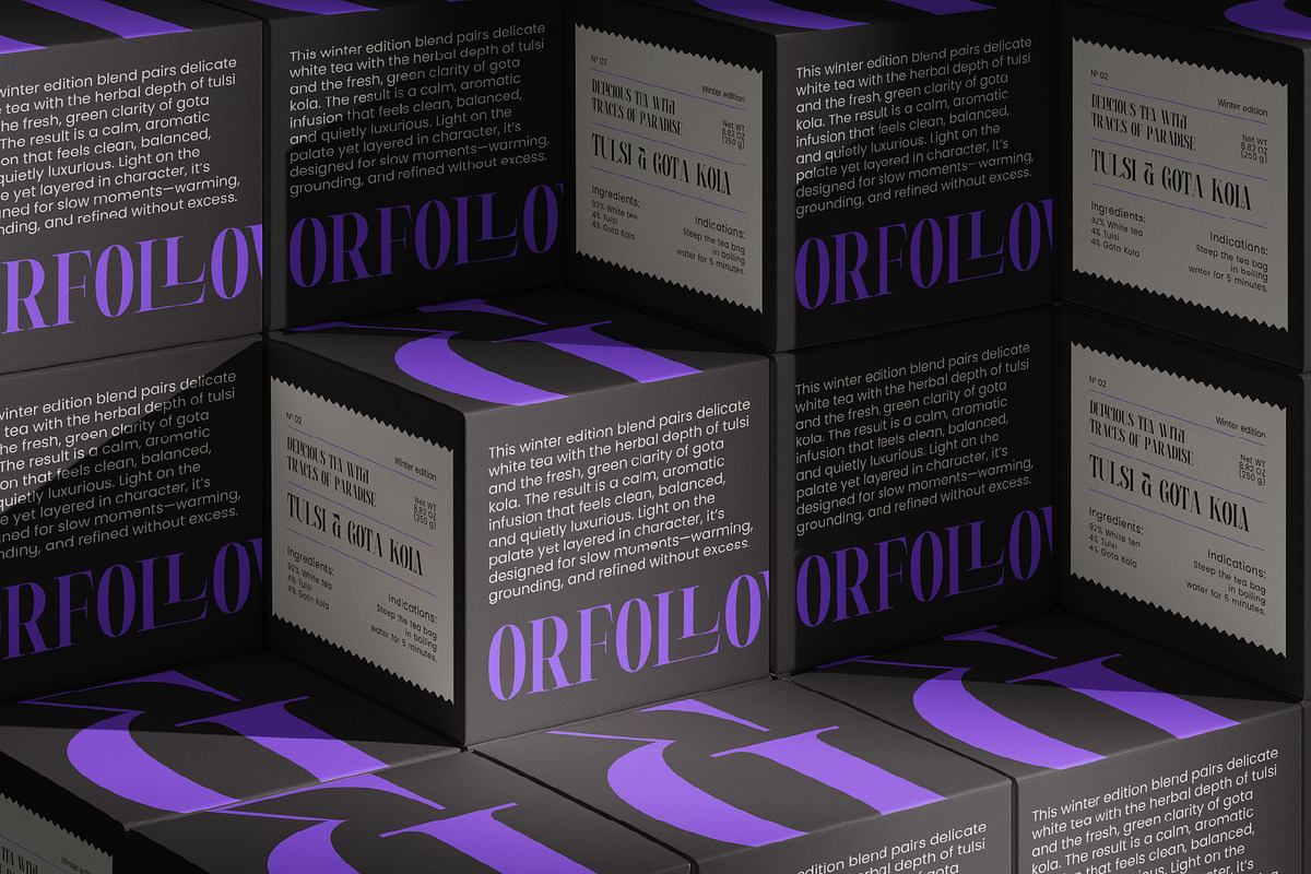 Rahext - Modern Experimental Serif, a Serif Font by MooneseyeType (Photo 4 of 8)