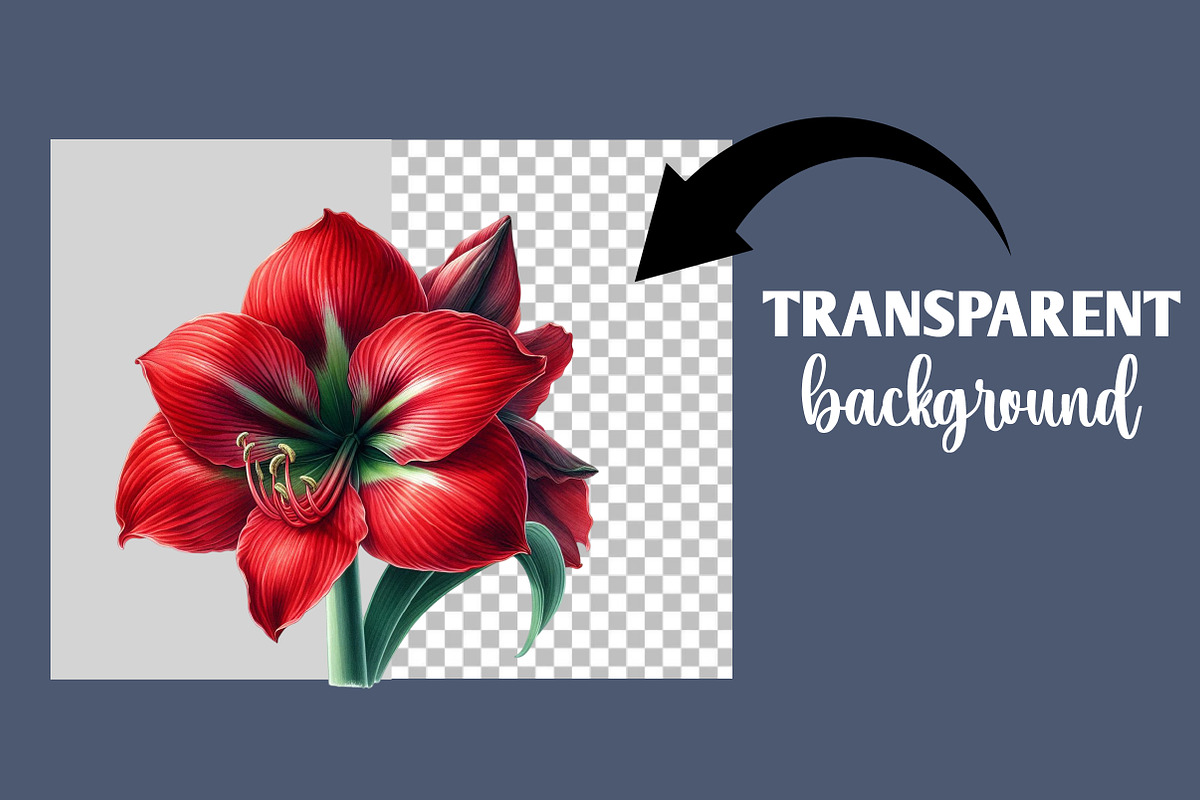 Watercolor Floral Clipart, an Illustration by Designworld (Photo 6 of 6)