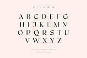 satisfy modern stylistic sans serif, a Sans Serif Font by Sensatype (Thumbnail 17 of 18)
