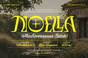 The Villas Luxury Display Serif, a Serif Font by Nollev (Thumbnail 8 of 11)