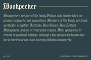 Royal Grande - Black Letter Family, a Blackletter Font by Subqi Std (Thumbnail 5 of 7)