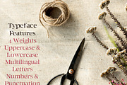 Zahra Serif 6 Font Family Pack, a Serif Font by Creativetacos (Thumbnail 3 of 5)