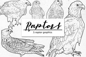 Raptor Graphic Bundle