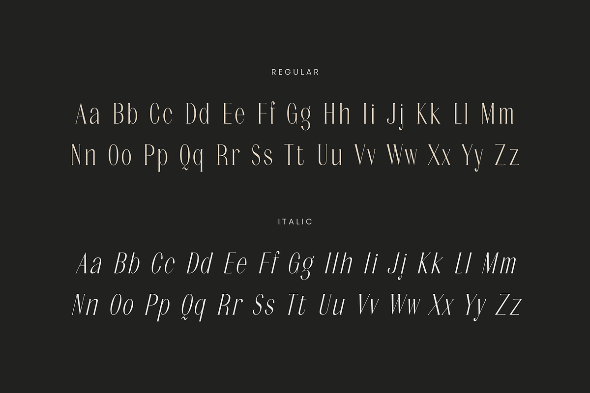 Noctaire - Modern Serif, a Serif Font by Sronstudio (Photo 18 of 18)