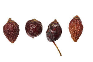 A row of dried rosehip fruits of various shapes and textures