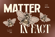 Velora Bloom - Duo Font Logo, a Sans Serif Font by Nirmana Visual (Thumbnail 11 of 13)