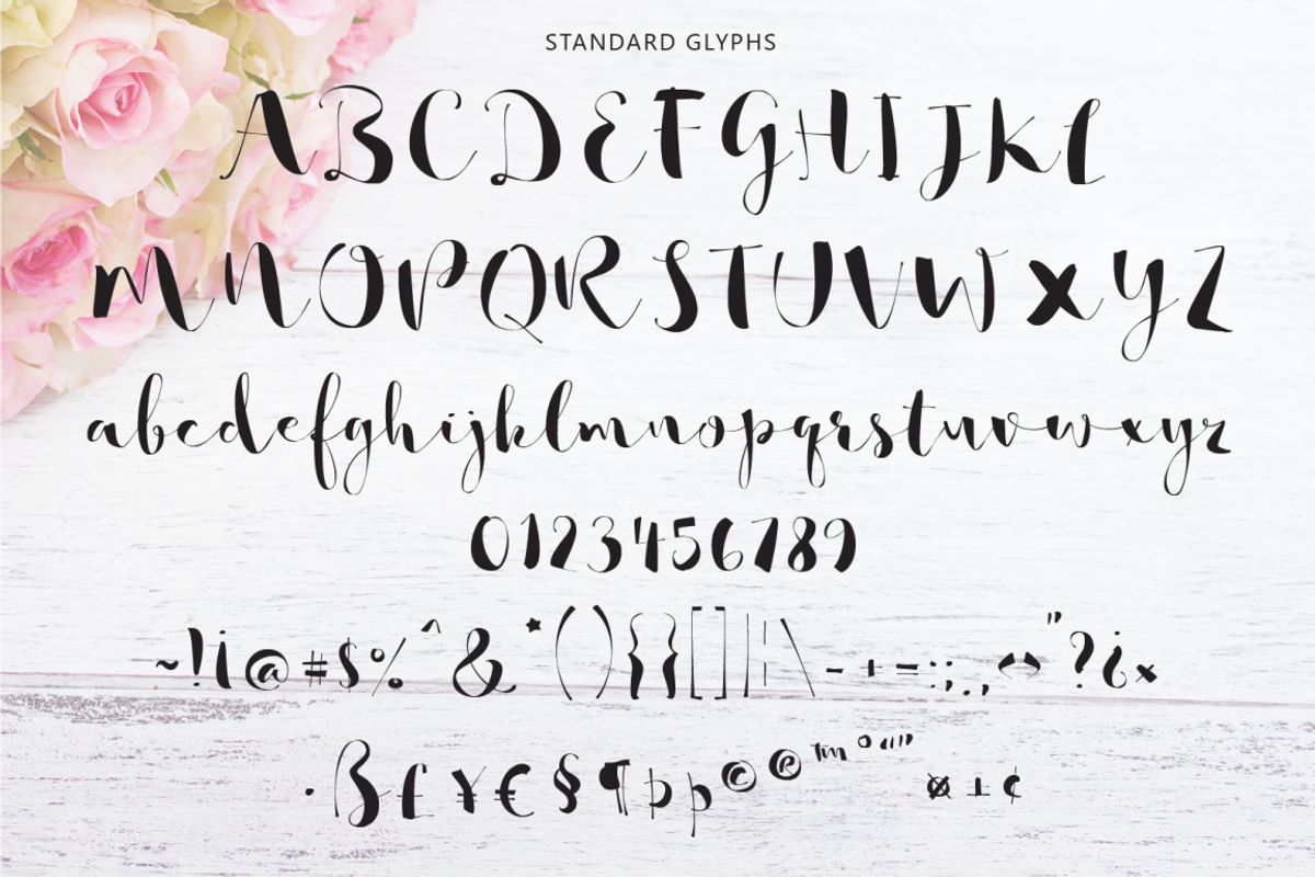 So Lovely Handmade Script preview 6