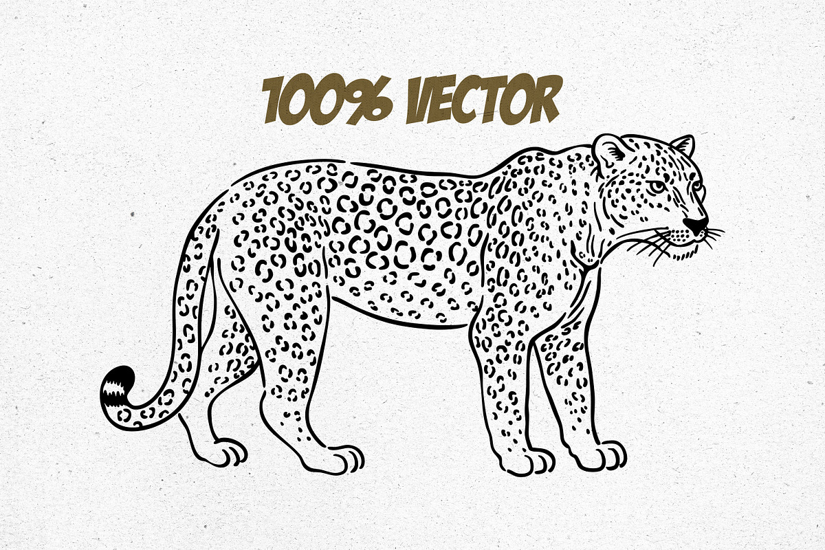 Wild Animals Line Art, an Animal Illustration by Tekuni (Photo 5 of 12)