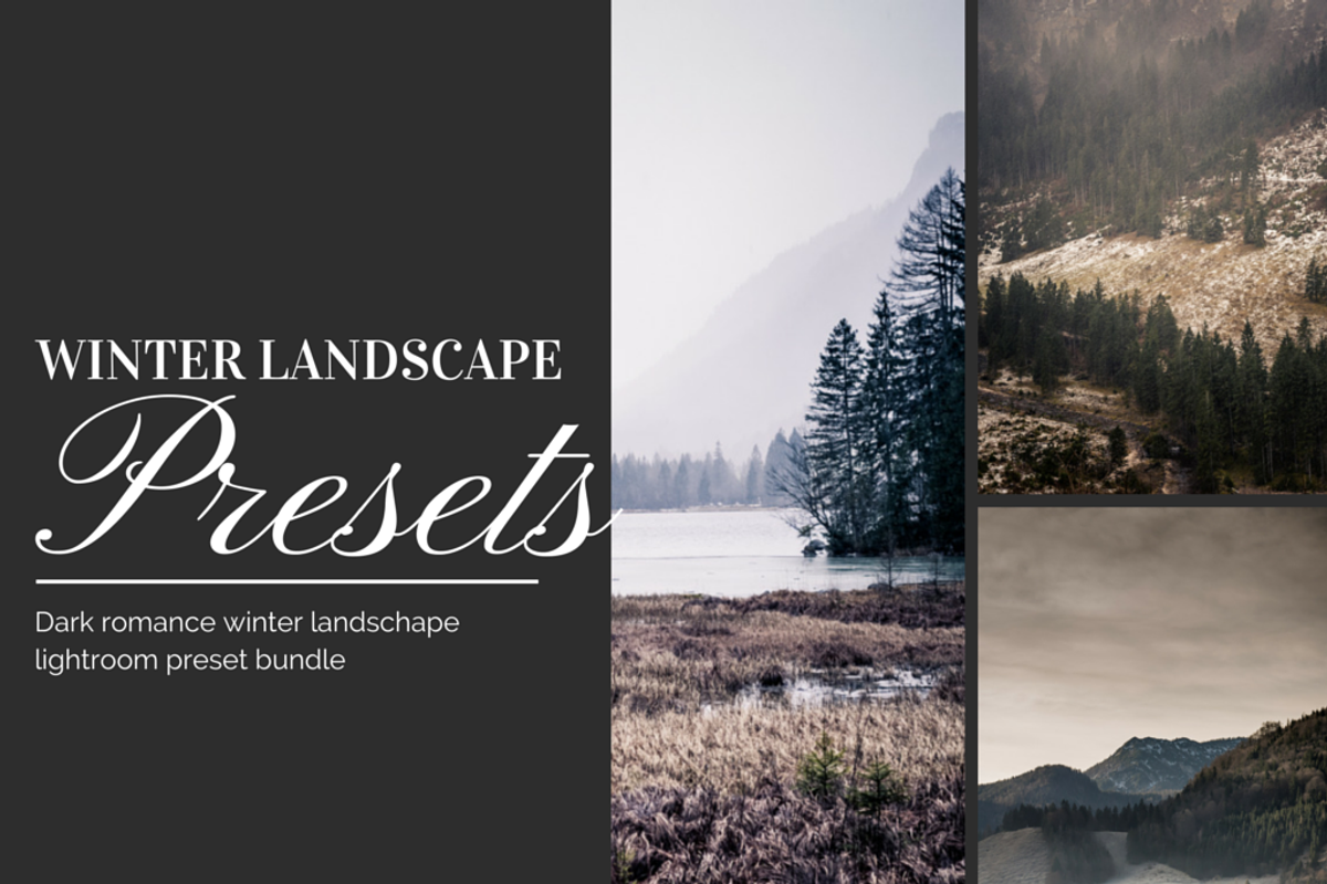 Dark Winter 3 LR Preset Bundle, a Plug-in Add-On by Jana Mänz Photography (Photo 2 of 5)