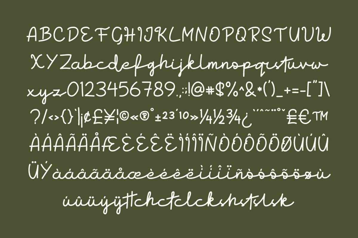 Sectro Minimalist Script, a Script Font by Artiveko (Photo 7 of 8)