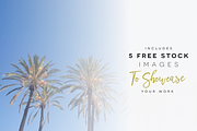 Premium Font Bundle, a Script Font by Flycatcher Design (Thumbnail 23 of 140)