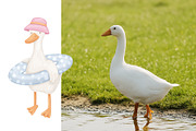 Cute goose illustrations and pattern, an Animal Illustration by ElenaPlatovaArt (Thumbnail 13 of 20)