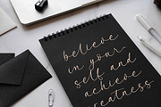 Garden Silent Elegant Script Font, a Script Font by stylishtype.co (Thumbnail 8 of 20)