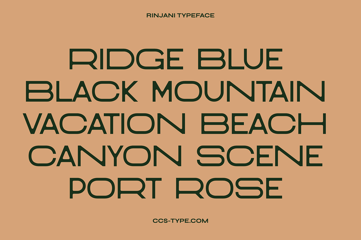Rinjani Sans - Wide Stretch Typeface, a Sans Serif Font by CCS Type (Photo 3 of 19)