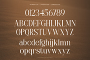 Mustyserif - Family Serif Font, a Serif Font by Flawless And Co (Thumbnail 9 of 10)