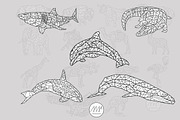 Geometric Animals Collection, an Animal Illustration by Alpha Mike Foxtrot (Thumbnail 8 of 10)