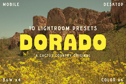 Dorado Lightroom Presets