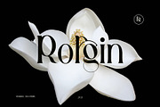 Gallies Ligature Serif Typeface, a Serif Font by Humaira_std (Thumbnail 3 of 9)