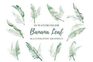 10 Watercolor Banana Leaf