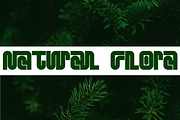 Canger Staong - Display Type, a Symbol Font by NuType (Thumbnail 10 of 13)