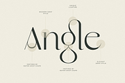 Original - Classy Branding Font, a Serif Font by Sensatype (Thumbnail 2 of 19)
